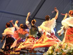 Festival de Folkore en Mula